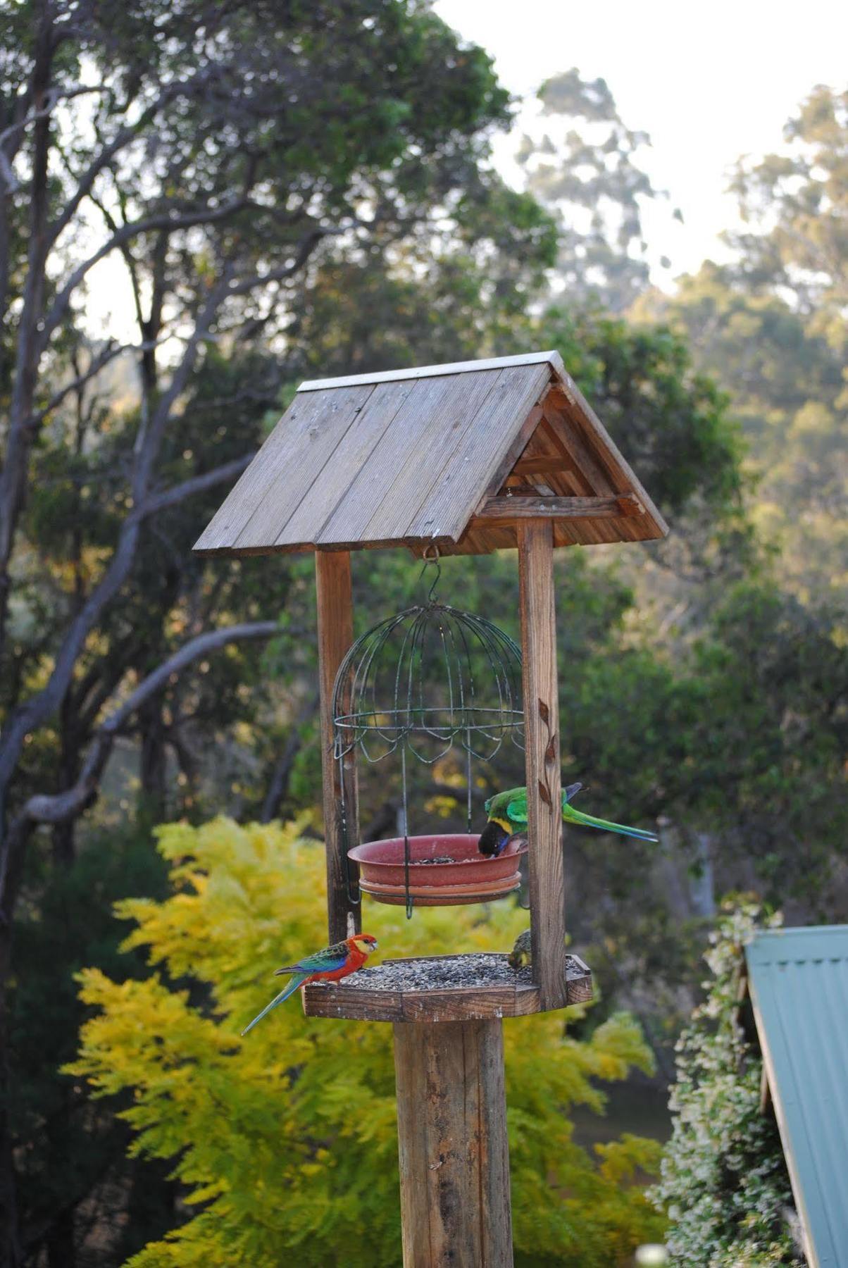 ברידג'טאון Tweed Valley Lodge מראה חיצוני תמונה